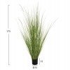 ΔΙΑΚΟΣΜΗΤΙΚΟ ΣΥΝΘΕΤΙΚΟ ΦΥΤΟ HM4017 BRISTLEGRASS ΣΕ ΓΛΑΣΤΡΑ 173Υεκ.