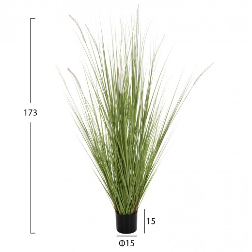 ΔΙΑΚΟΣΜΗΤΙΚΟ ΣΥΝΘΕΤΙΚΟ ΦΥΤΟ HM4017 BRISTLEGRASS ΣΕ ΓΛΑΣΤΡΑ 173Υεκ.