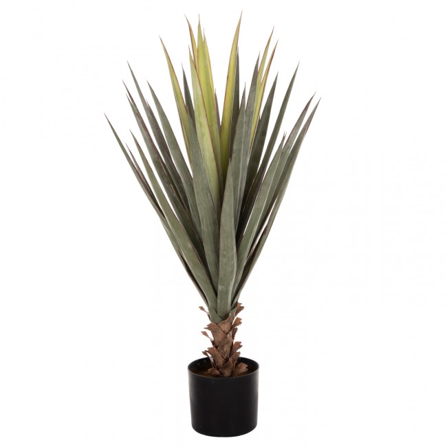 ΔΙΑΚΟΣΜΗΤΙΚΟ ΣΥΝΘΕΤΙΚΟ ΦΥΤΟ HM7986 SISAL AGAVE ΣΕ ΓΛΑΣΤΡΑ Φ15,5x14,5-96Υεκ. ΔΙΑΚΟΣΜΗΤΙΚΟ ΣΥΝΘΕΤΙΚΟ ΦΥΤΟ HM7986 SISAL AGAVE ΣΕ ΓΛΑΣΤΡΑ Φ15,5x14,5-96Υεκ.