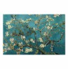 ΠΙΝΑΚΑΣ ΤΥΠΟΥ ALMOND TREE HM7193.03 70X45X3 εκ.