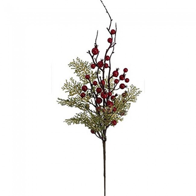 ΚΛΑΔΙ ΜΕ ΜΙΚΡΑ ΚΟΚΚΙΝΑ ΡΟΔΙΑ ΚΑΙ BERRIES 65ΕΚ