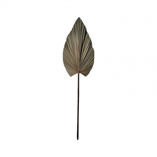Διακοσμητικό φύλλο Leafen I Inart φυσικό palm leaf 130εκ