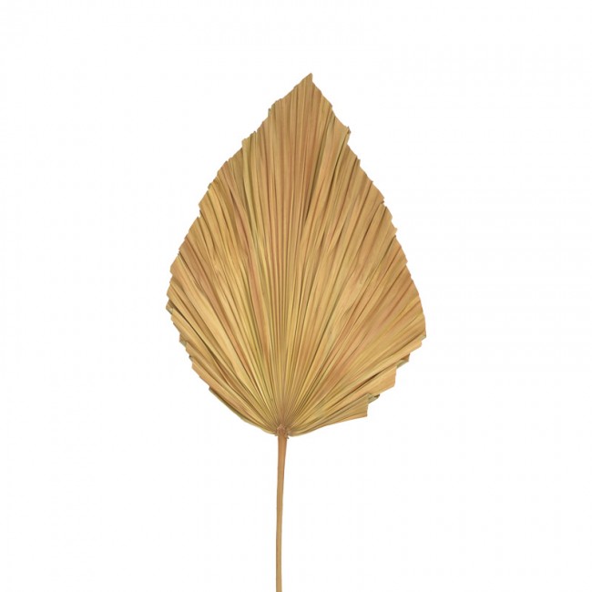 Διακοσμητικό φύλλο Walsy Inart palm leaf σε φυσική απόχρωση Υ135 εκ Διακοσμητικό φύλλο Walsy Inart palm leaf σε φυσική απόχρωση Υ135 εκ