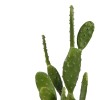 Διακοσμητικό φυτό Cactus σε γλάστρα Inart πράσινο pp Υ64εκ Διακοσμητικό φυτό Cactus σε γλάστρα Inart πράσινο pp Υ64εκ