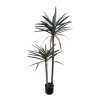 Διακοσμητικό φυτό Dracaena palm σε γλάστρα Inart πράσινο pp Υ125εκ
