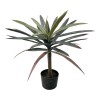 Διακοσμητικό φυτό Dracaena palm σε γλάστρα Inart πράσινο pp Υ62εκ