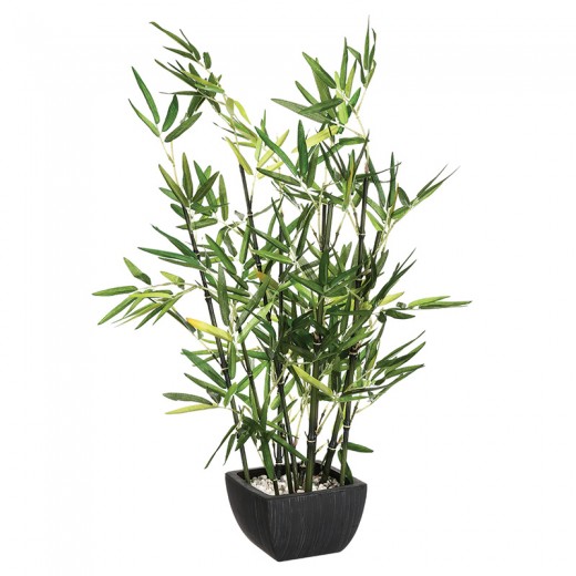 Φυτό σε γλάστρα Green pakoworld 43x34x67εκ Φυτό σε γλάστρα Green pakoworld 43x34x67εκ