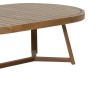 Τραπέζι Stellan pakoworld μασίφ ξύλο ευκαλύπτου 220x130x75εκ