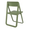 ΝΤΡΙΜ OLIVE GREEN(Σ4)ΠΤΥΣ/ΝΗ ΚΑΡΕΚΛΑ ΠΟΛ/ΝΙΟΥ - 20.0046