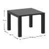 ΒΕΓΚΑΣ BLACK 100X100/140εκ. ΕΠΕΚΤ.ΤΡΑΠΕΖΙ ΠΟΛ/ΝΙΟΥ - 20.0572