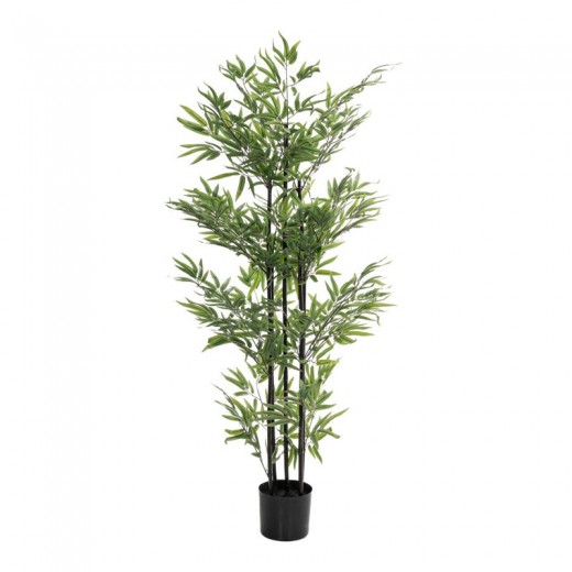 ΦΥΤΟ BAMBOO 150ΕΚ. Χ4 ΣΕ ΜΑΥΡΗ ΠΛΑΣΤΙΚΗ ΓΛΑΣΤΡΑ