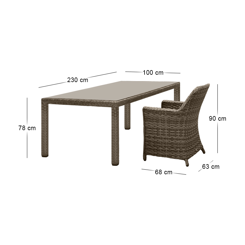 ESPERIA Set Τραπεζαρία Κήπου ALU,Wicker Grey Brown-Ανθρακί: Τραπέζι 230x100 + 8 Πολυθρόνες