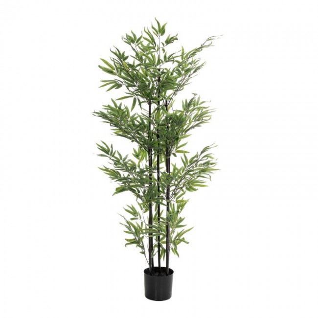ΦΥΤΟ BAMBOO 150ΕΚ. Χ4 ΣΕ ΜΑΥΡΗ ΠΛΑΣΤΙΚΗ ΓΛΑΣΤΡΑ