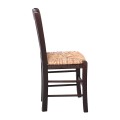 CASA Chair Impregnation Walnut