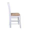 CASA Chair Impregnation Lacquer White