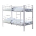 NORTON Double Deck Bed 90x190 Metal White/Wood White