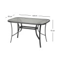 Toledo Megapap metal - tempered glass table in anthracite color 140x80x70cm.