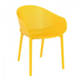 ΣΚΑΙ YELLOW ΠΟΛΥΘΡΟΝΑ ΠΟΛ/ΝΙΟΥ - 20.0267