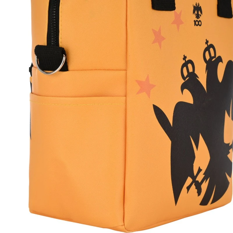 INSULATED LUNCH BAG 7lt AEK BC EDITION