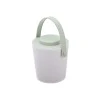 ICE BIN PLASTIC DOUBLE WALL WITH TONG MINT