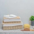 STORAGE &amp; ORGANIΖER BOX BOTANICA 36x27x13cm WITH INTERNAL CLOTHING &amp; LID