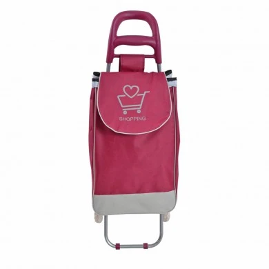 ΚΑΡΟΤΣΙ ΛΑΪΚΗΣ ΜΕΤΑΛΛΙΚΟ ΜΕ ΜΠΟΡΝΤΟ ΣΑΚΟ SHOPPING 35x27x94εκ. ANKOR