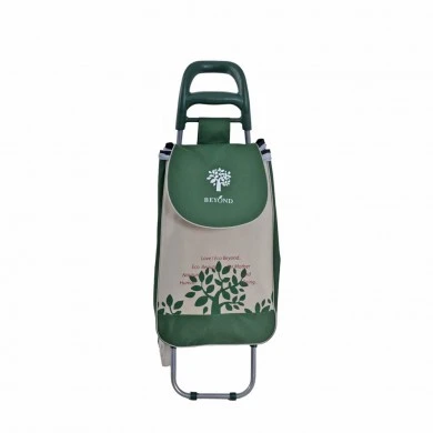 ΚΑΡΟΤΣΙ ΛΑΪΚΗΣ ΜΕΤΑΛΛΙΚΟ ΜΕ ΠΡΑΣΙΝΟ ΣΑΚΟ ΚΑΙ ΣΧΕΔΙΟ ΕΛΙΑ 35x27x94εκ. ANKOR