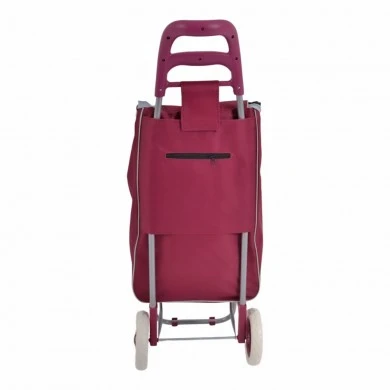 ΚΑΡΟΤΣΙ ΛΑΪΚΗΣ ΜΕΤΑΛΛΙΚΟ ΜΕ ΜΠΟΡΝΤΟ ΣΑΚΟ SAVE THE PLANET 35x27x94εκ. ANKOR