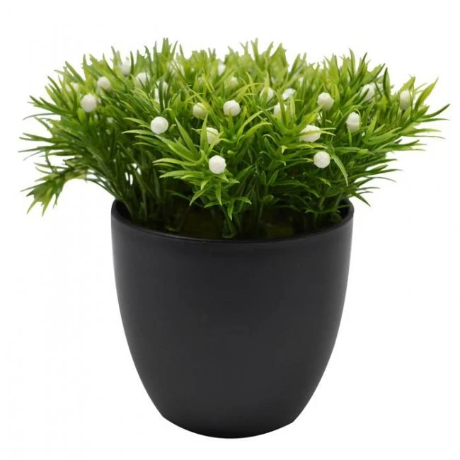 ΓΛΑΣΤΡΑΚΙ ΜΕ ΦΥΤΟ 15εκ.