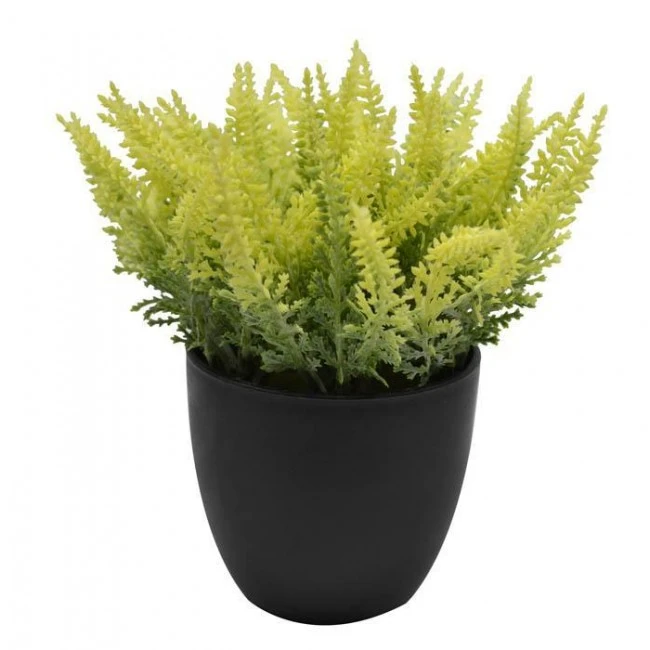 ΓΛΑΣΤΡΑΚΙ ΜΕ ΦΥΤΟ 18εκ.