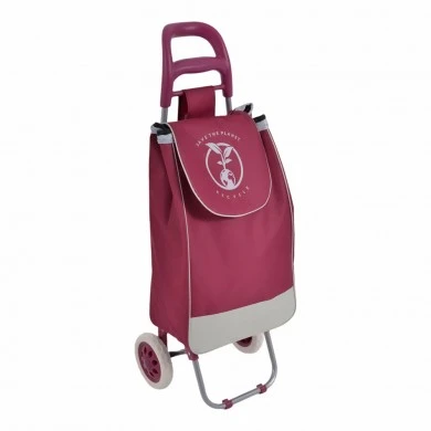 ΚΑΡΟΤΣΙ ΛΑΪΚΗΣ ΜΕΤΑΛΛΙΚΟ ΜΕ ΜΠΟΡΝΤΟ ΣΑΚΟ SAVE THE PLANET 35x27x94εκ. ANKOR