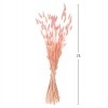 ΔΙΑΚΟΣΜΗΤΙΚΟ ΜΠΟΥΚΕΤΟ ΑΠΟΞΗΡΑΜΕΝΟ HM7960 RABBIT TAIL-PINK 75Υεκ.