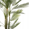 ΔΙΑΚΟΣΜΗΤΙΚΟ ΣΥΝΘΕΤΙΚΟ ΦΥΤΟ HM7970 KWAI TREE ΣΕ ΓΛΑΣΤΡΑ Φ17x14,5-155Υεκ.