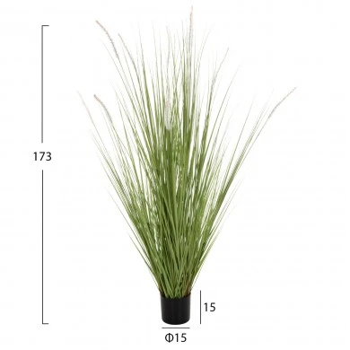 ΔΙΑΚΟΣΜΗΤΙΚΟ ΣΥΝΘΕΤΙΚΟ ΦΥΤΟ HM4017 BRISTLEGRASS ΣΕ ΓΛΑΣΤΡΑ 173Υεκ.