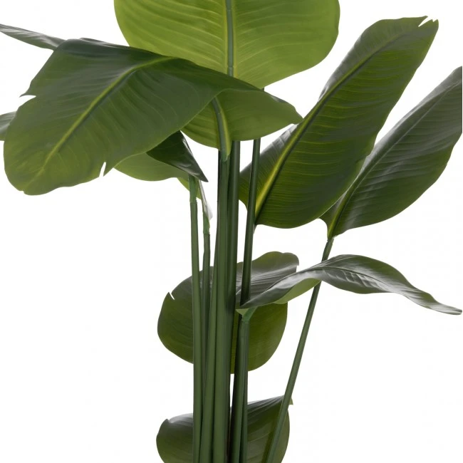 ΔΙΑΚΟΣΜΗΤΙΚΟ ΣΥΝΘΕΤΙΚΟ ΦΥΤΟ HM4739 ΣΤΡΕΛΙΤΣΙΑ ΣΕ ΓΛΑΣΤΡΑ Φ18x172Υεκ.