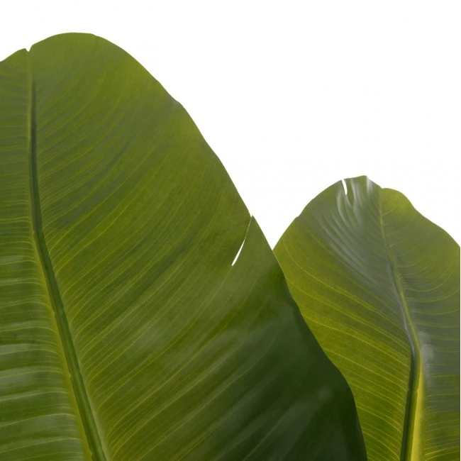 ΔΙΑΚΟΣΜΗΤΙΚΟ ΣΥΝΘΕΤΙΚΟ ΦΥΤΟ HM4739 ΣΤΡΕΛΙΤΣΙΑ ΣΕ ΓΛΑΣΤΡΑ Φ18x172Υεκ.