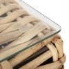 ΣΕΤ ΣΑΛΟΝΙ 4ΤΜΧ TROPEL HM11940 ΦΥΣΙΚΟ RATTAN-2ΘΕΣΙΟΣ ΚΑΝΑΠΕΣ-2 ΠΟΛΥΘΡΟΝΕΣ-ΤΡΑΠΕΖΙ