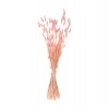 ΔΙΑΚΟΣΜΗΤΙΚΟ ΜΠΟΥΚΕΤΟ ΑΠΟΞΗΡΑΜΕΝΟ HM7960 RABBIT TAIL-PINK 75Υεκ.