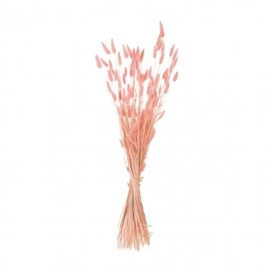 ΔΙΑΚΟΣΜΗΤΙΚΟ ΜΠΟΥΚΕΤΟ ΑΠΟΞΗΡΑΜΕΝΟ HM7960 RABBIT TAIL-PINK 75Υεκ.