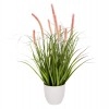 ΔΙΑΚΟΣΜΗΤΙΚΟ ΣΥΝΘΕΤΙΚΟ ΦΥΤΟ HM4029 BRISTLEGRASS ΣΕ ΓΛΑΣΤΡΑ Φ14,5x13-62Yεκ.