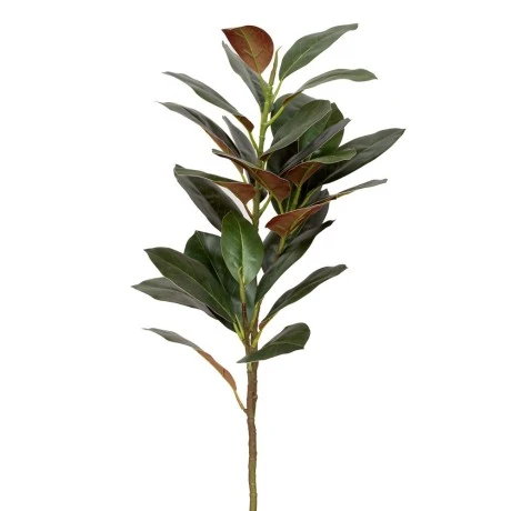 GREEN SYCAMORE BRACH GIGAS 95CM