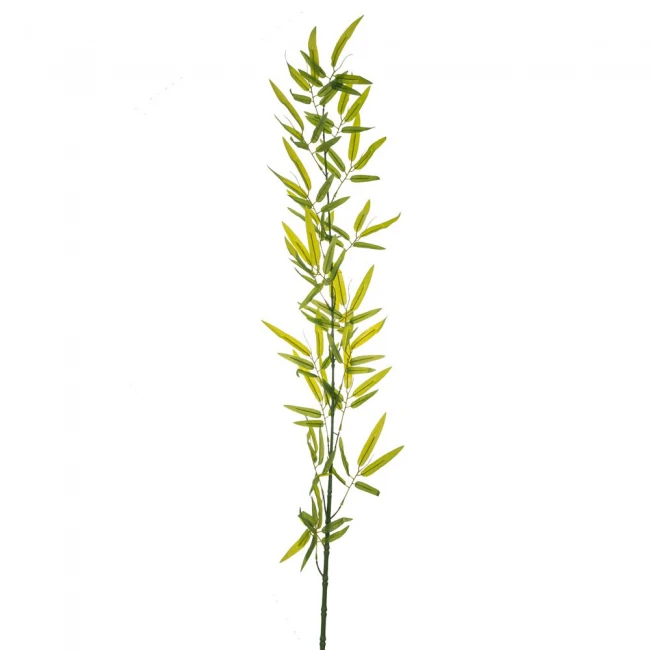 ΠΡΑΣΙΝΟ ΚΛΑΔΙ BAMBOO ΓΙΓΑΣ 1,5Μ