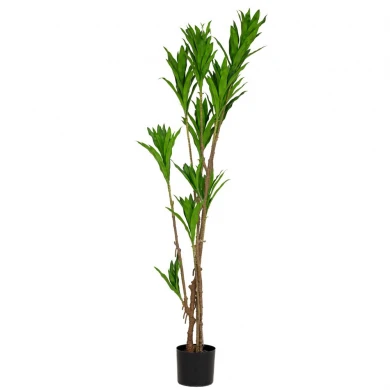 DRACENA TREE 166CM WITH UV AND FIRE PROTECTION