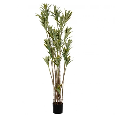 DRACENA TREE 200CM WITH UV AND FIRE PROTECTION