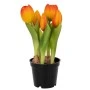 ORANGE ARTIFICIAL TULIP 20CM X5 IN BLACK PLASTIC POT