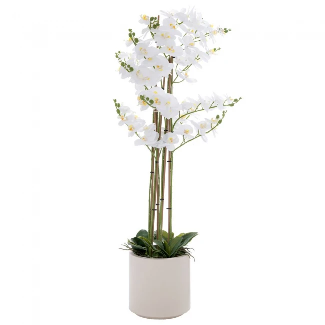 ΛΕΥΚΗ ΟΡΧΙΔΕΑ PHALAENOPSIS ΣΕ ΕΚΡΟΥ ΚΕΡΑΜΙΚΟ ΚΑΣΠΩ 127ΕΚ