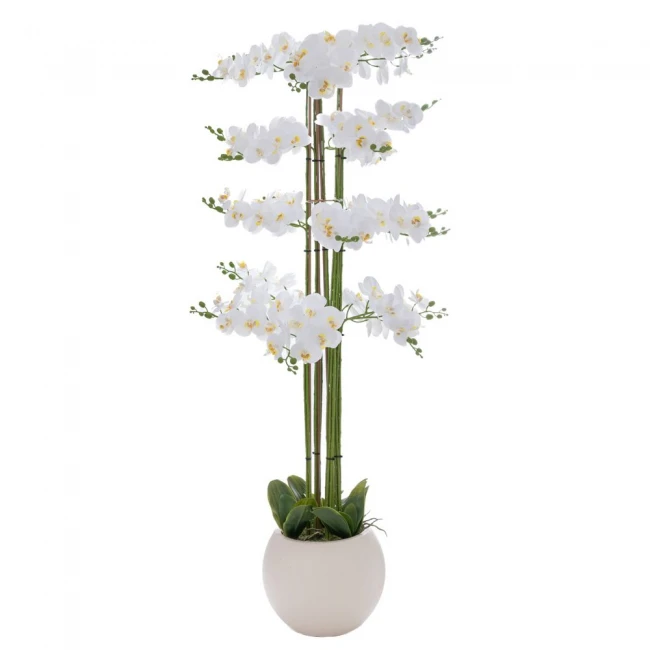 ΛΕΥΚΗ ΟΡΧΙΔΕΑ PHALAENOPSIS ΣΕ ΕΚΡΟΥ ΚΕΡΑΜΙΚΟ ΚΑΣΠΩ 160ΕΚ