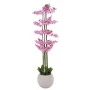 ΡΟΖ ΟΡΧΙΔΕΑ PHALAENOPSIS ΣΕ ΕΚΡΟΥ ΚΕΡΑΜΙΚΟ ΚΑΣΠΩ 190ΕΚ
