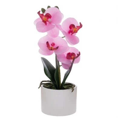 ΡΟΖ ΟΡΧΙΔΕΑ PHALAENOPSIS ΣΕ ΛΕΥΚΟ ΚΕΡΑΜΙΚΟ ΚΑΣΠΩ 28ΕΚ