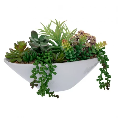 ΠΑΧΥΦΥΤΟ ΣΕ ΑΣΠΡΟ ΚΕΡΑΜΙΚΟ ΓΛΑΣΤΡΑΚΙ 20,5ΕΚ